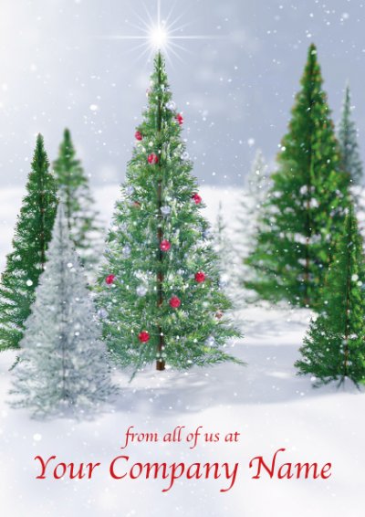 Merry Christmas Personalised Christmas Card