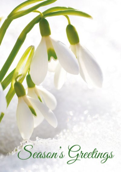 Snowdrops Front Personalised Christmas Card