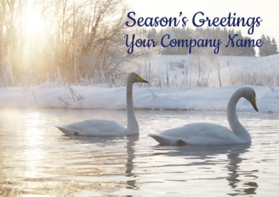 Swans Front Personalised Christmas Card