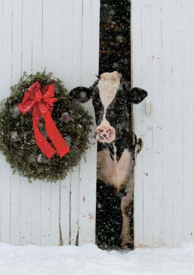 Christmas Morning Personalised Christmas Card