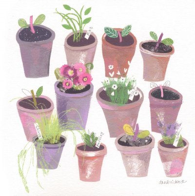 Seedlings Greeting Card