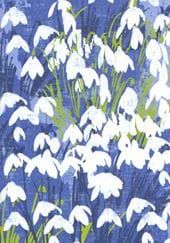 Snowdrops Sympathy Card