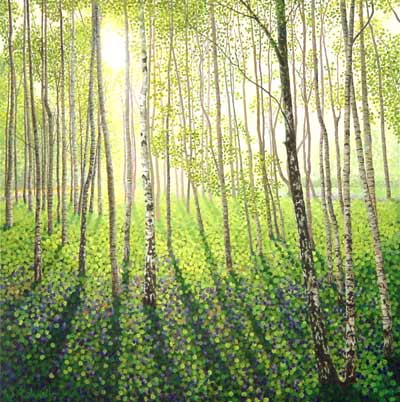 Silver Birch Woods Greeting Card