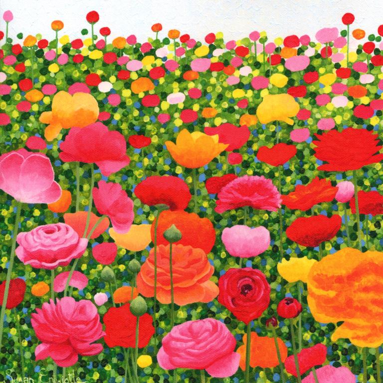Ranunculus Greeting Card