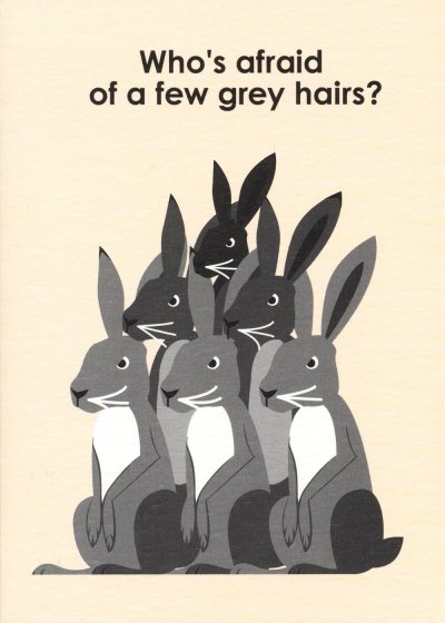 Grey Hairs Greetings Card