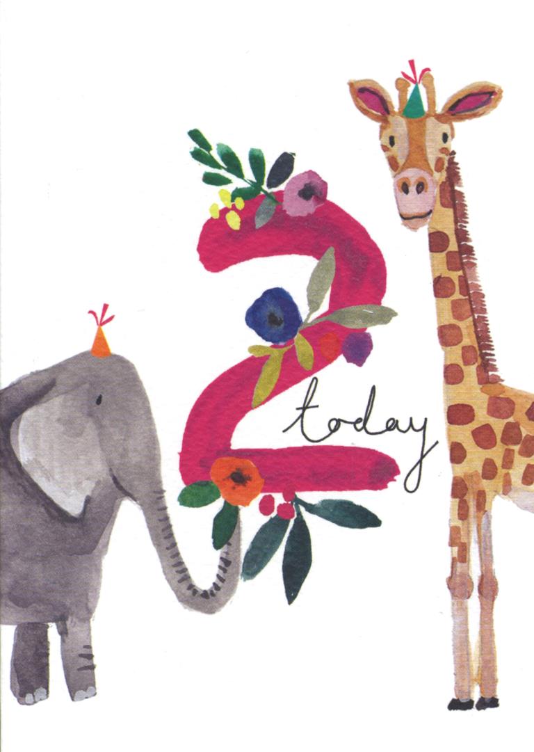 2 Today Jungle Pink Birthday Card