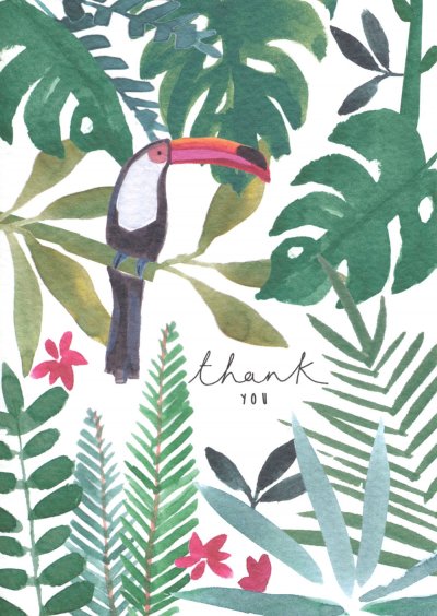 Toucan Thank you Card