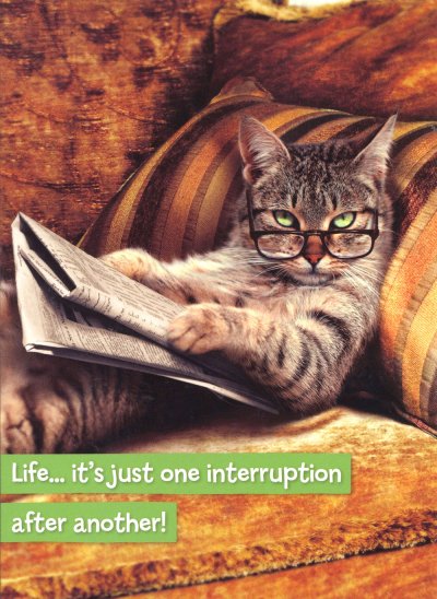 Interruption Greeting Card