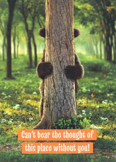 Bear Leaving Card