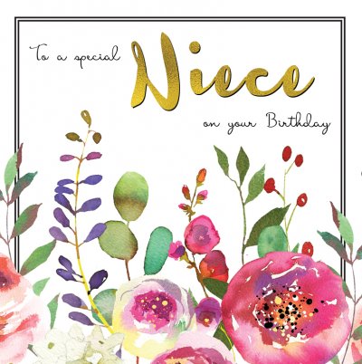 Special Niece Birthday Card