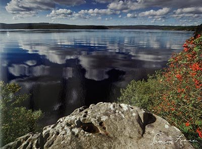 Kielder Water Greeting Card