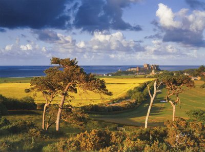 Bamburgh Castle Greeting Card