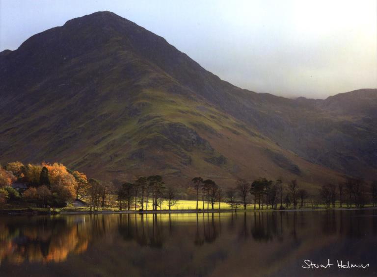 Buttermere Pines Greeting Card