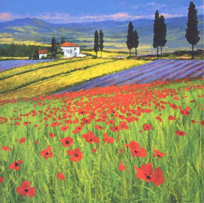 Fields of Dreams Greeting Card