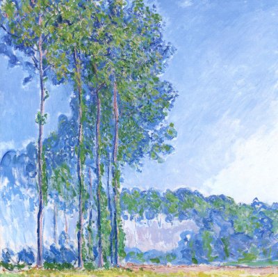 Poplars Greeting Card
