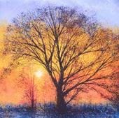 Big Tree at Sunset Greeting Card