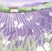 Lavender Fields Greeting Card
