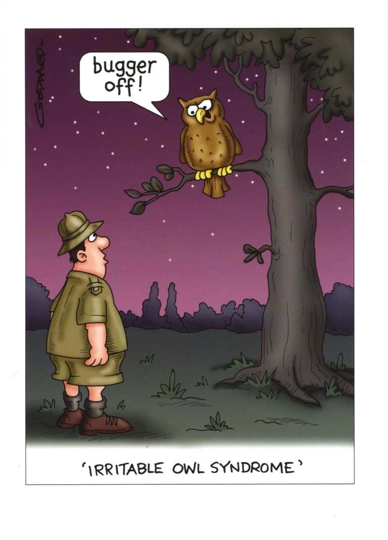 Irritable Owl Syndrome Birthday Card