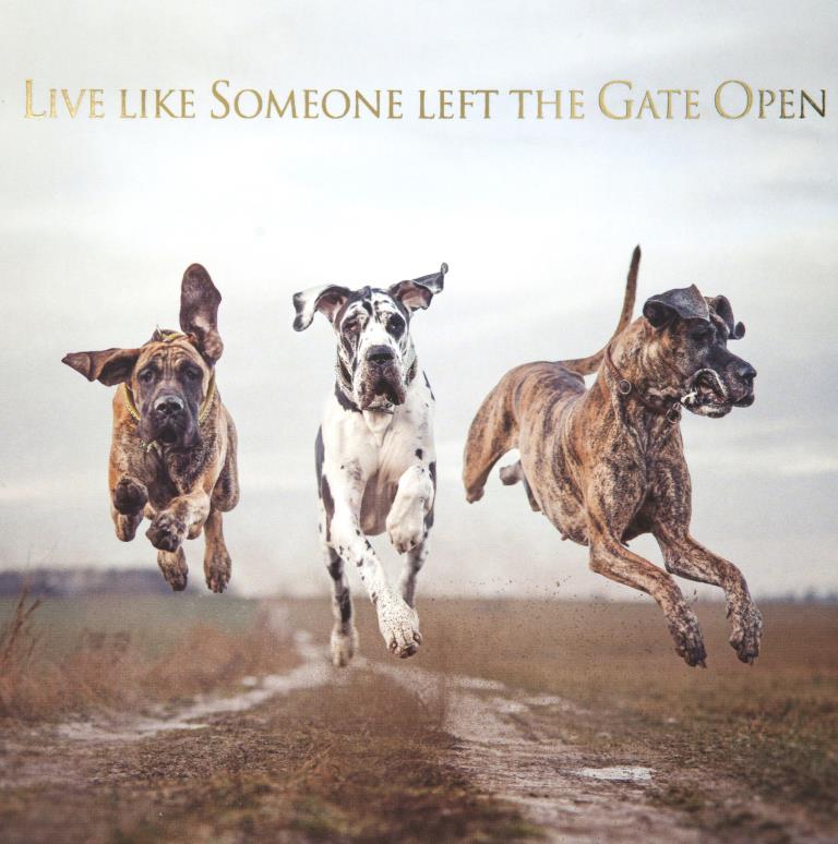 Live Life Greeting Card