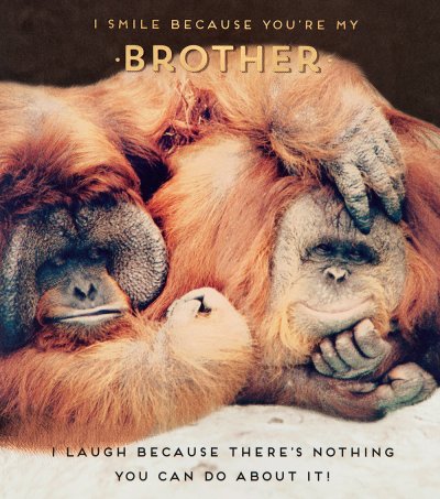 Smile & Laugh Brother Birthday Card