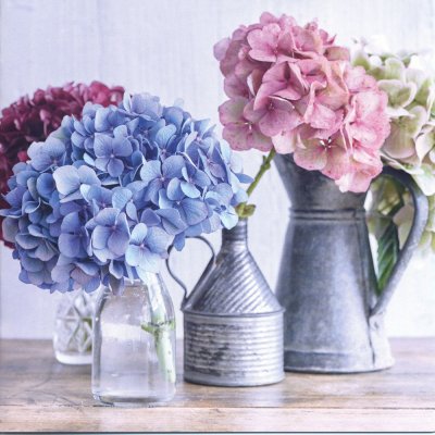Hydrangeas Greeting Card