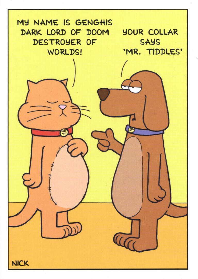 Mr Tiddles Funny Greeting Card