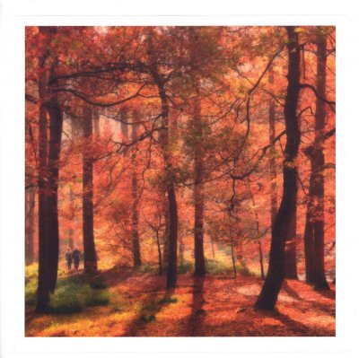 Calderdale Woodland Greeting Card