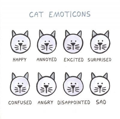Cat Emoticons Greeting Card