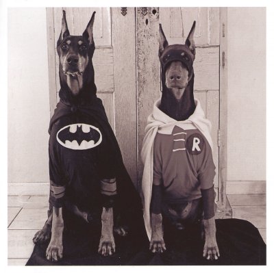 Batman & Robin Greetings Card