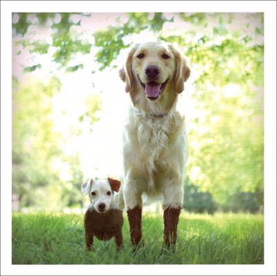 The Dirty Duo Greeting Card