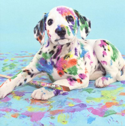 Natural Talent Greeting Card