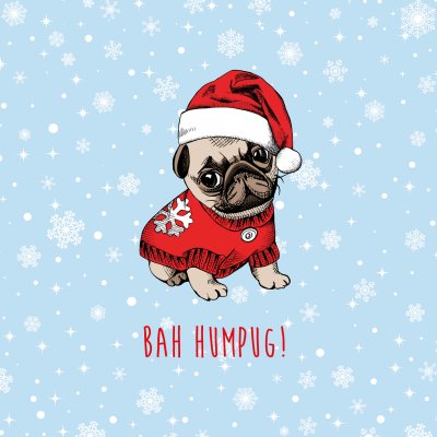 Bah Humpug Marie Curie Christmas Pack (10)
