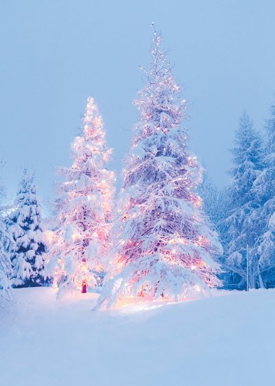 Shining Bright Personalised Christmas Card