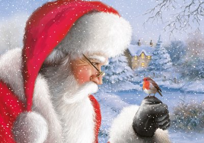 Santa and Robin Personalised Christmas Card