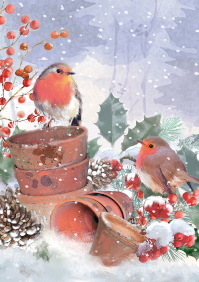 Plant Pot Robins Personalised Christmas Card