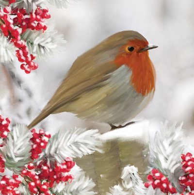 Proud Robin Personalised Christmas Card
