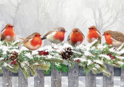 Robin On a Fence Personalised Christmas Card