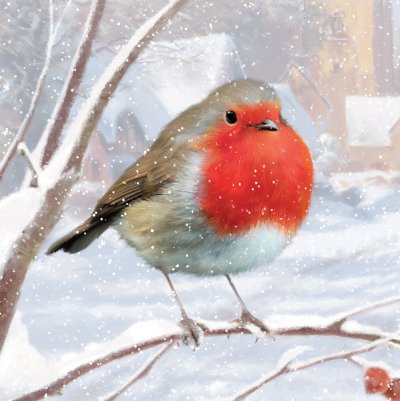 Wintertime Robin Personalised Christmas Card