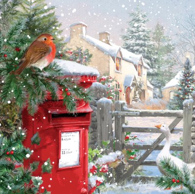 Robin and Goose Personalised Christmas Card