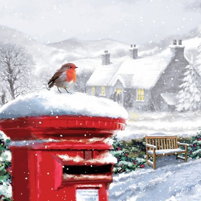 Robin On Postbox Personalised Christmas Card