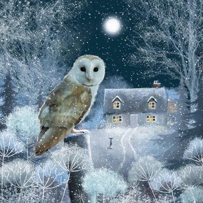 Midnight Owl Personalised Christmas Card