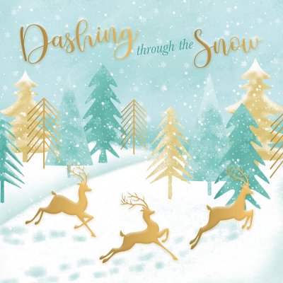 Dashing Through The Snow Personalised Christmas Card