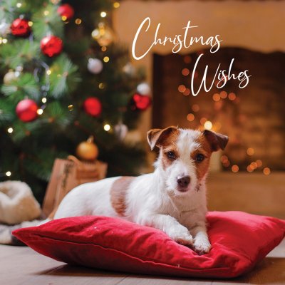 Festive Dog Personalised Christmas Card