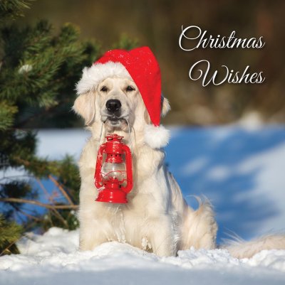 Lighting The Way For Santa Personalised Christmas Card