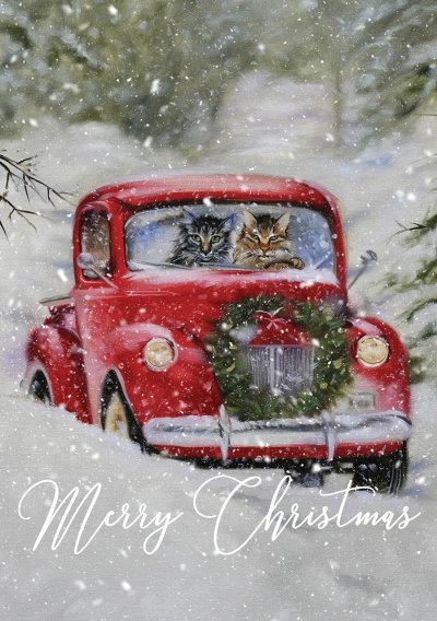 Meowy Christmas Personalised Christmas Card