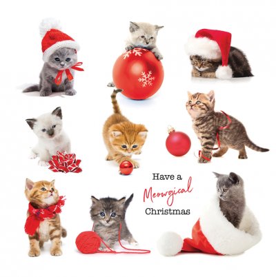 Kittens Personalised Christmas Card