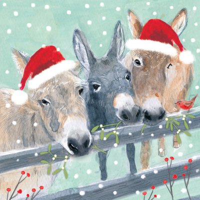 Over the Fence Personalised Christmas Card