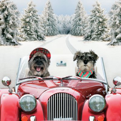 Driving Home Personalised Christmas Card