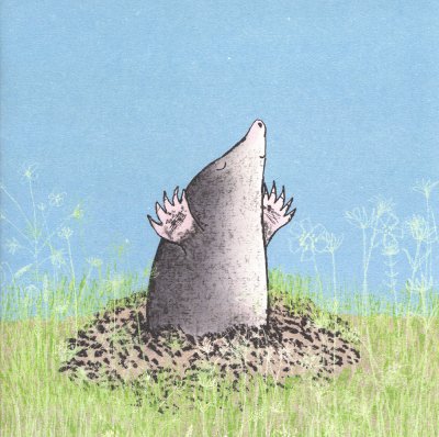 Coming up for Air Greeting Card