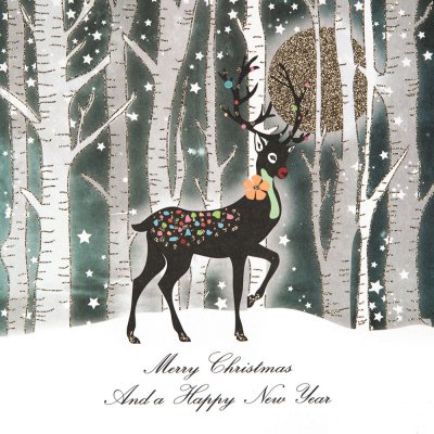 Festive Reindeer Christmas Pack (6)